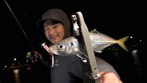 【追/見】Azing lab.2nd 61 春の尺アジ攻略