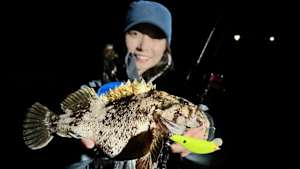 【追/見】海と青の物語 15 富山でホタルイカパターン