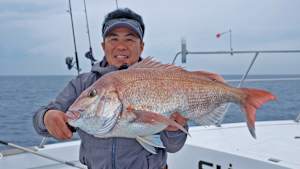 【追/見】SALT X 25 玄界灘のノッコミマダイ攻略