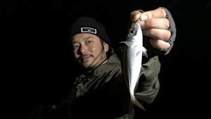 【追/見】Azing lab.2nd 65 晩春の周防大島攻略