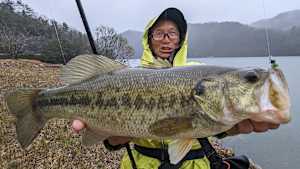 【追/見】NaturalTripper season2＃13