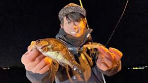 【追/見】海と青の物語 21 ライトゲームで遊ぶ晩春の広島