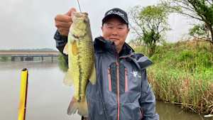 【追/見】バスギャラリー 感じろ“カスミ”のポテンシャル