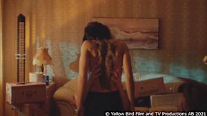 【見逃し】ミレニアム2 火と戯れる女 完全版 ［前編］