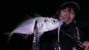 【追/見】特捜AJIENT 1 異色アングラー登場！？