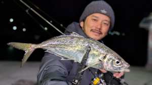 【追/見】Azing Lab.2nd 74 春のデカアジ