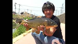 【追/見】高橋哲也の釣り、行きませんか？ 3 のべ竿で楽しむ入門の釣り究極の釣り