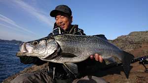 【追/見】ソルトノトビラ 1