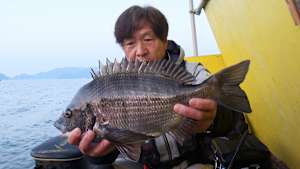 【追/見】チヌ道一直線 130 三重県・中津浜のノッコミチヌ