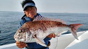 【追/見】SALT X 33 福岡県玄界灘 タイラバ