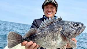 【追/見】魚種格闘技戦！ 229 小樽モンスタークロソイ