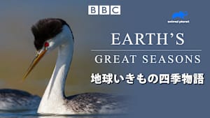【見逃し】地球いきもの四季物語：夏の活気