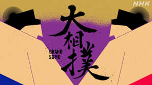 大相撲（２０２６年）　幕内の全取組