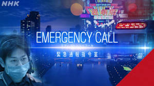 エマージェンシーコール　～緊急通報指令室～
