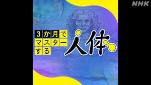 ３か月でマスターする人体