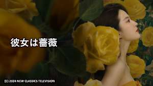 彼女は薔薇