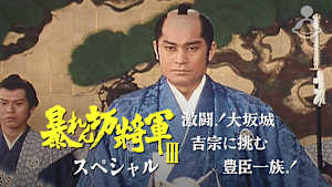 暴れん坊将軍IIIスペシャル 激闘！大坂城 吉宗に挑む豊臣一族！