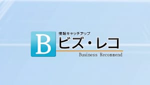 ビズ・レコ