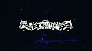 EGO-WRAPPIN’「ROUTE 20 HIT THE BUDOKAN ～live at 日本武道館～」