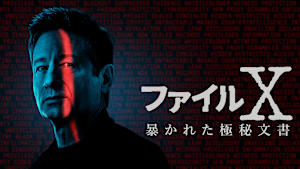 ファイルX：暴かれた極秘文書