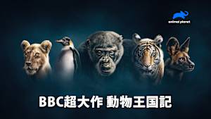【見逃し】BBC超大作 動物王国記：リカオン