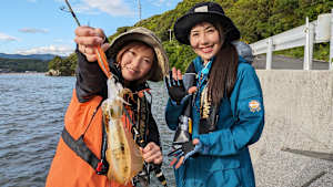 【追/見】Squid Squad 1 愛南町の春アオリ