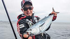 【追/見】楽釣楽磯宣言 77 4月の愛媛県武者泊で磯釣り