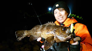 【追/見】Dz SALT 2ND 34 北海道メバル