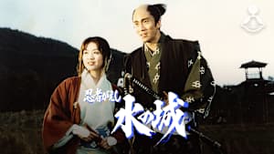 忍者がえし 水の城