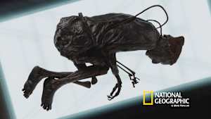 解析！世にも奇妙な遺物ミステリー