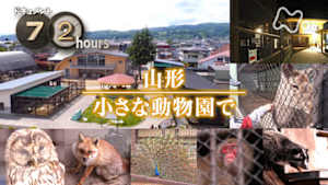 ドキュメント７２時間　山形　小さな動物園で