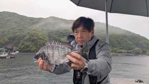 【追/見】チヌ道一直線 131 梅雨の三重県神前浦