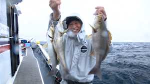 【追/見】なるほど！沖釣りマスター 38 和歌山 特大イサキ