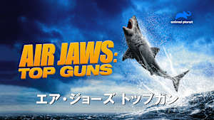 【見逃し】エア・ジョーズ トップガン