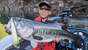 【追/見】D-IMPACT 87 驚異！65、61、60cm