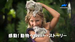 【見逃し】感動！動物ヘルパーストーリー S1：ゾウの下肢装具（字）