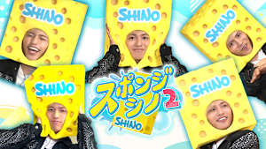 スポンジ・シノ2