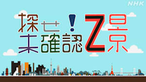 「探せ！未確認Ｚ景」　絶景・階段編
