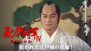 暴れん坊将軍IVスペシャル 狙われた江戸城の花嫁！