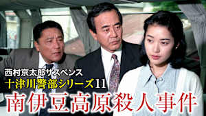 西村京太郎サスペンス 十津川警部シリーズ11 南伊豆高原殺人事件