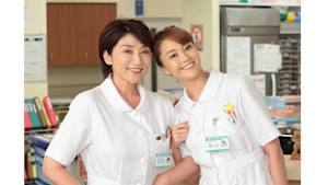 ナースのお仕事2014　再会編