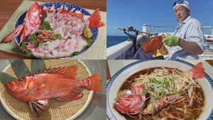 【追/見】オトコの釣りメシ30 千葉県南房総のチカメキントキ