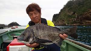 【追/見】チヌ道一直線 97 千葉県・勝山のかかり釣り！いざ、関東のチヌに挑む
