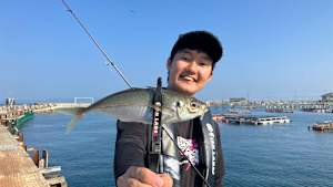 【追/見】特捜AJIENT 9 海上釣り堀を徹底調査！