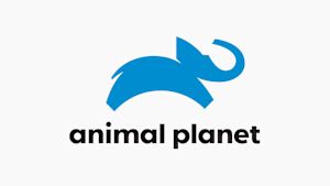 【見逃し】動物王国-野生の戦略-：赤ちゃん動物の成長