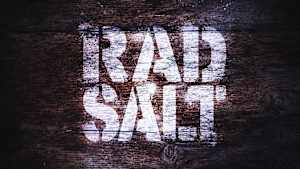 【追/見】RAD SALT 26