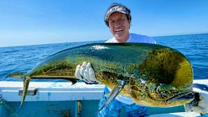 【追/見】魚種格闘技戦！ 245 宮崎県日向灘シイラ