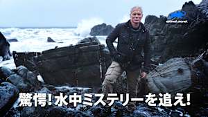 【見逃し】驚愕！水中ミステリーを追え！：ネス湖の怪獣