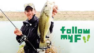 【追/見】follow my F 37