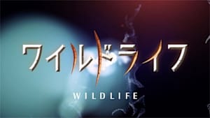 ワイルドライフ